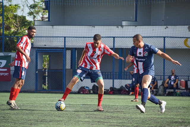 還能在組織 還能在組織