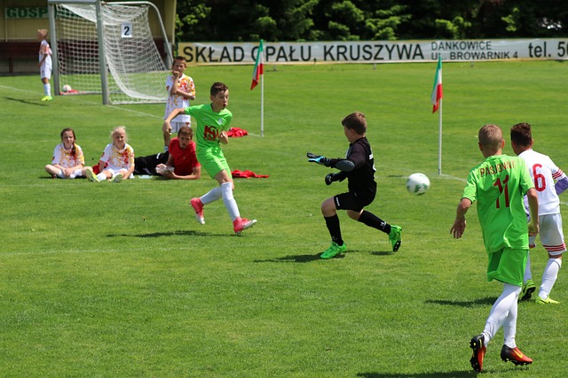 牂牁江逐渐 牂牁江逐渐