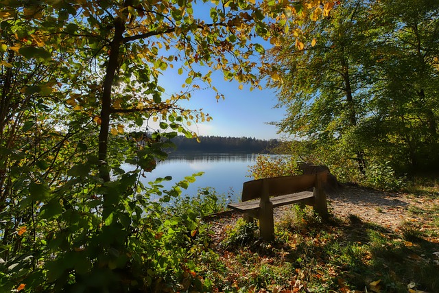 球队士气与 球队士气与